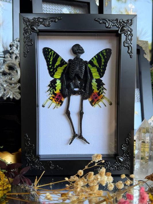SUNSET MOTH FAIRY - Mother of Hades Dead Fairy Collection