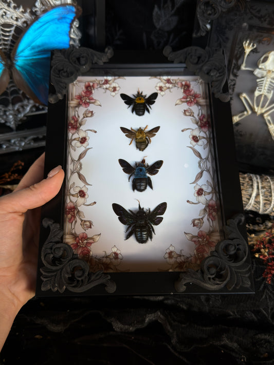 CARPENTER BEE QUAD - A5 Bee Frame