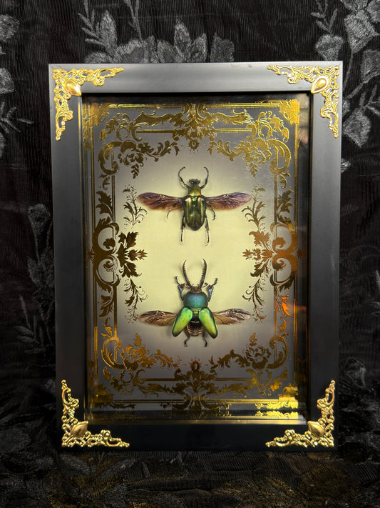 LAMPRINA JEWEL DUO SHADOW BOX