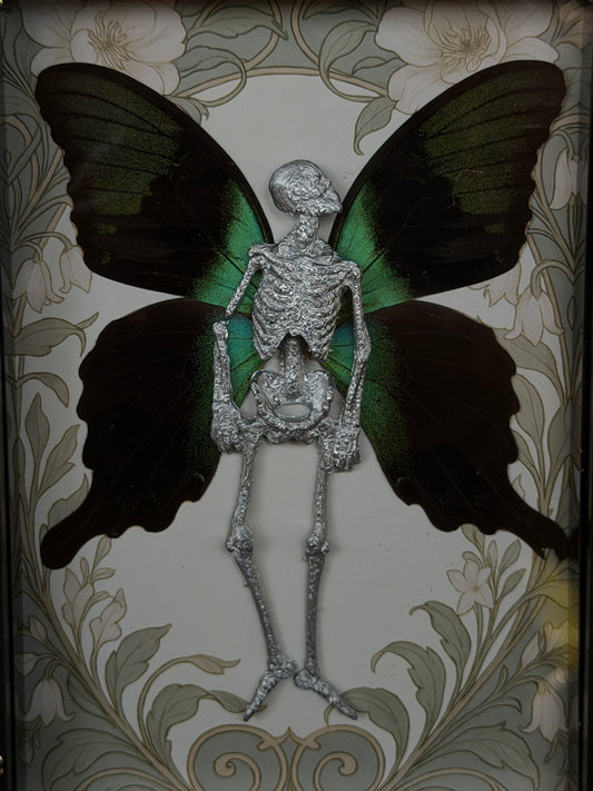 PEACOCK FAIRY - Mother of Hades Dead Fairy Frame