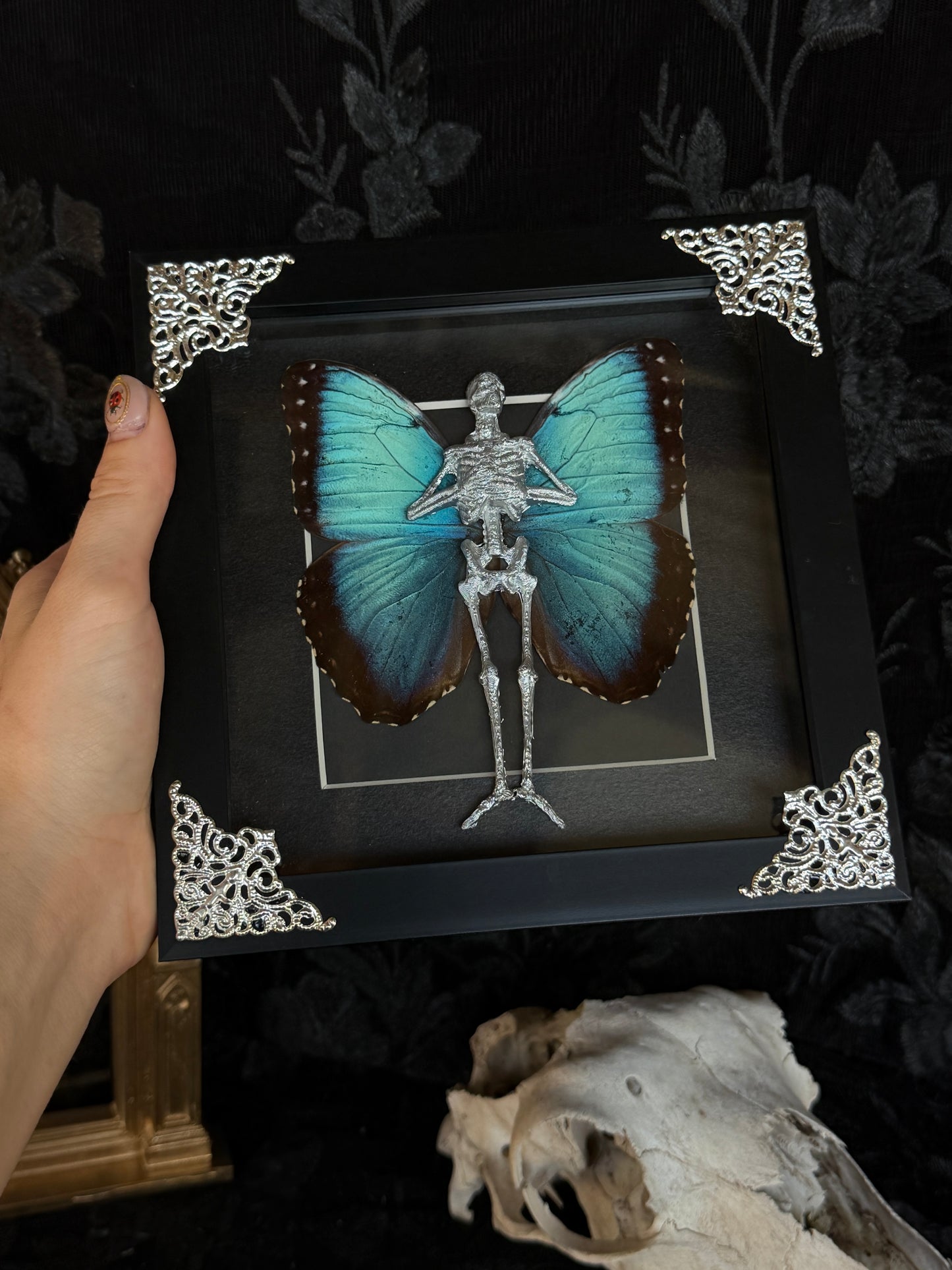 MORPHO FAIRY - Mother of Hades Dead Fairy Frame
