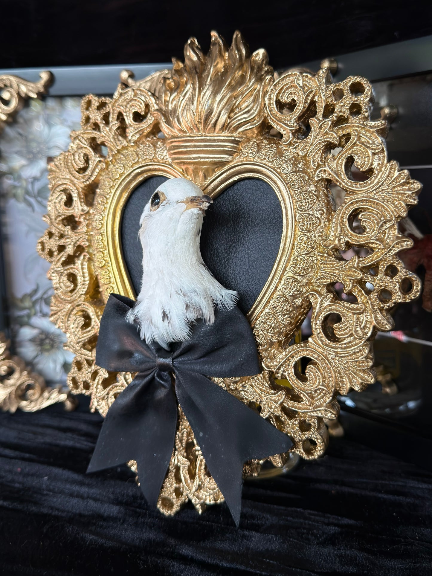 PIGEON HEAD - Mother of Hades Gold Heart Open Display Frame