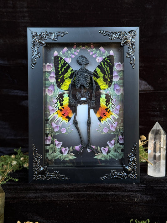 EVANGELINE FAIRY - Mother of Hades Dead Fairy Frame
