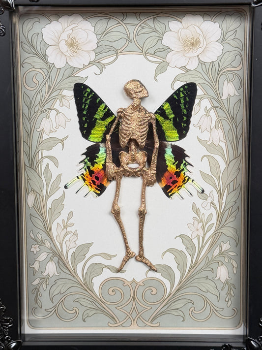 IRIS FAIRY - Mother of Hades Dead Fairy Frame