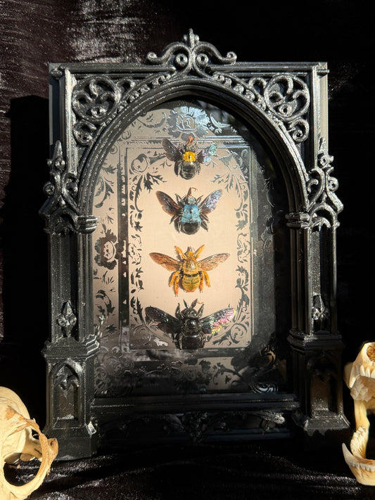 Quad Carpenter Bee Framed Specimens (SILVER) - names in description