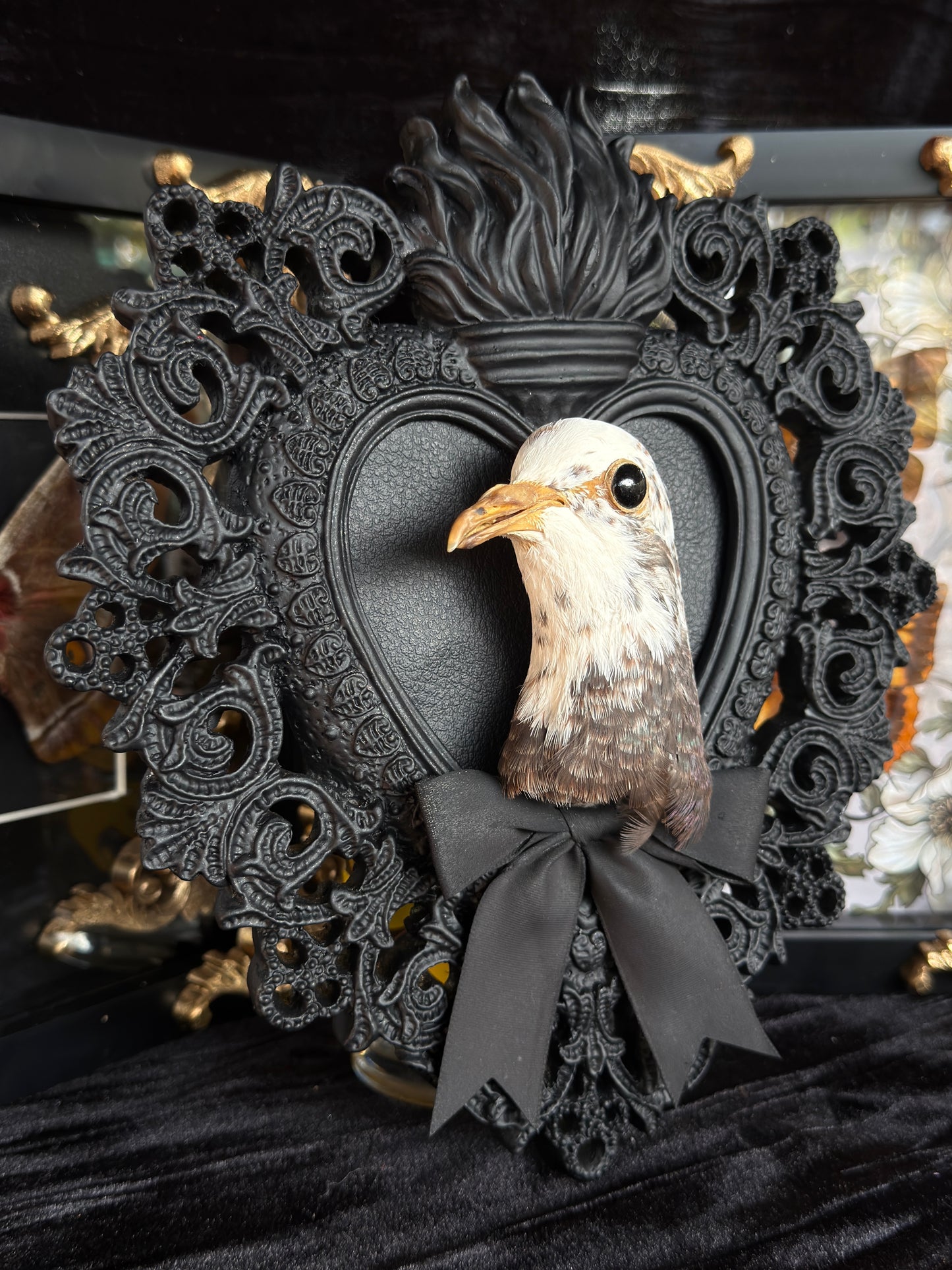 PIGEON HEAD - Mother of Hades Black Heart Open Display Frame