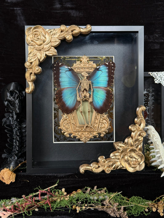 GOLD MORPHO MAUSOLEUM - Mother of Hades Dead Fairy Frame