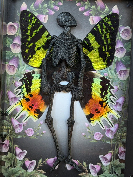 EVANGELINE FAIRY - Mother of Hades Dead Fairy Frame