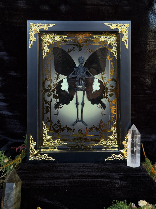 SERAPHINA FAIRY - Mother of Hades Dead Fairy Frame