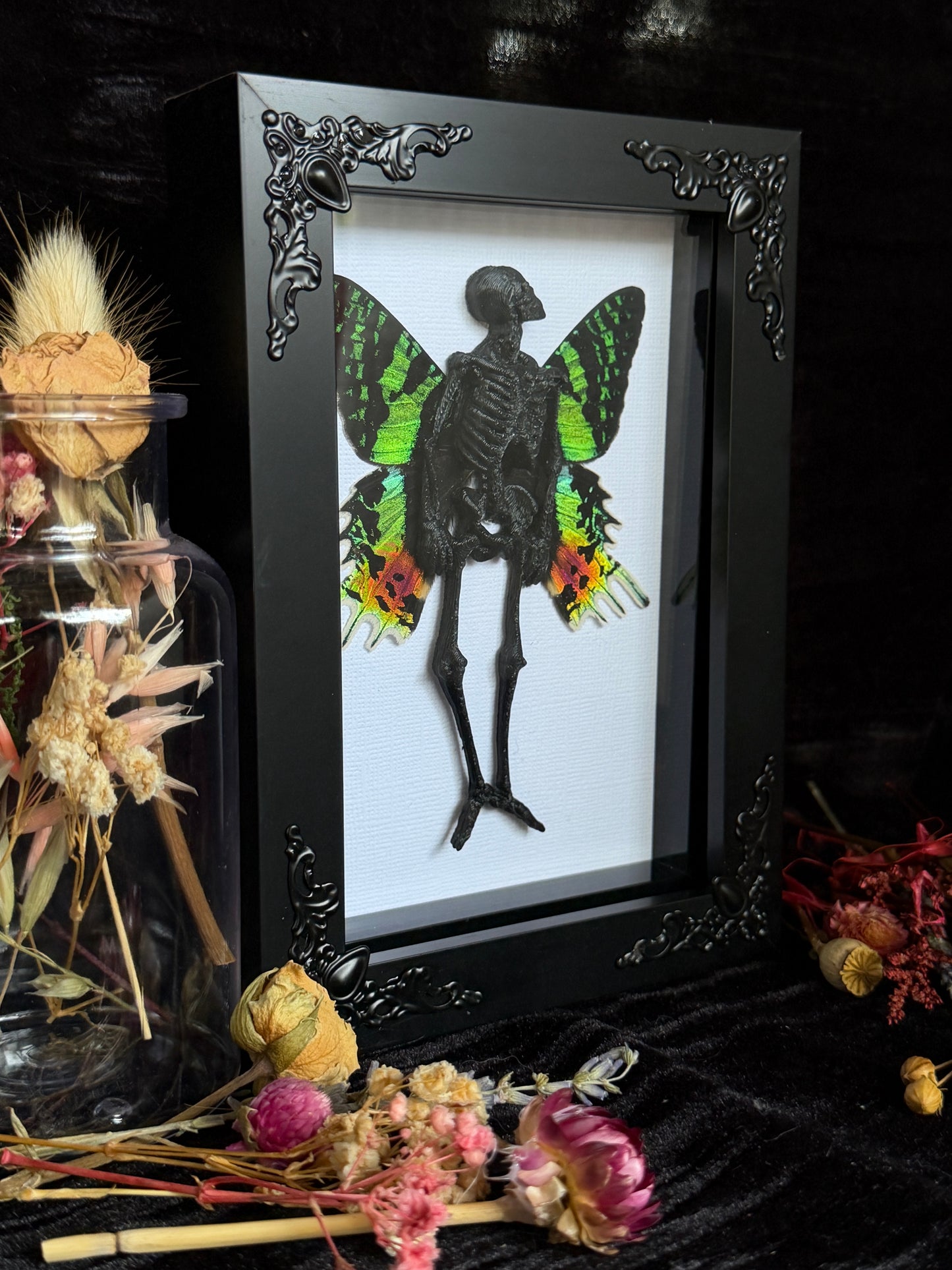 SUNSET MOTH FAIRY - Mother of Hades Dead Fairy Collection