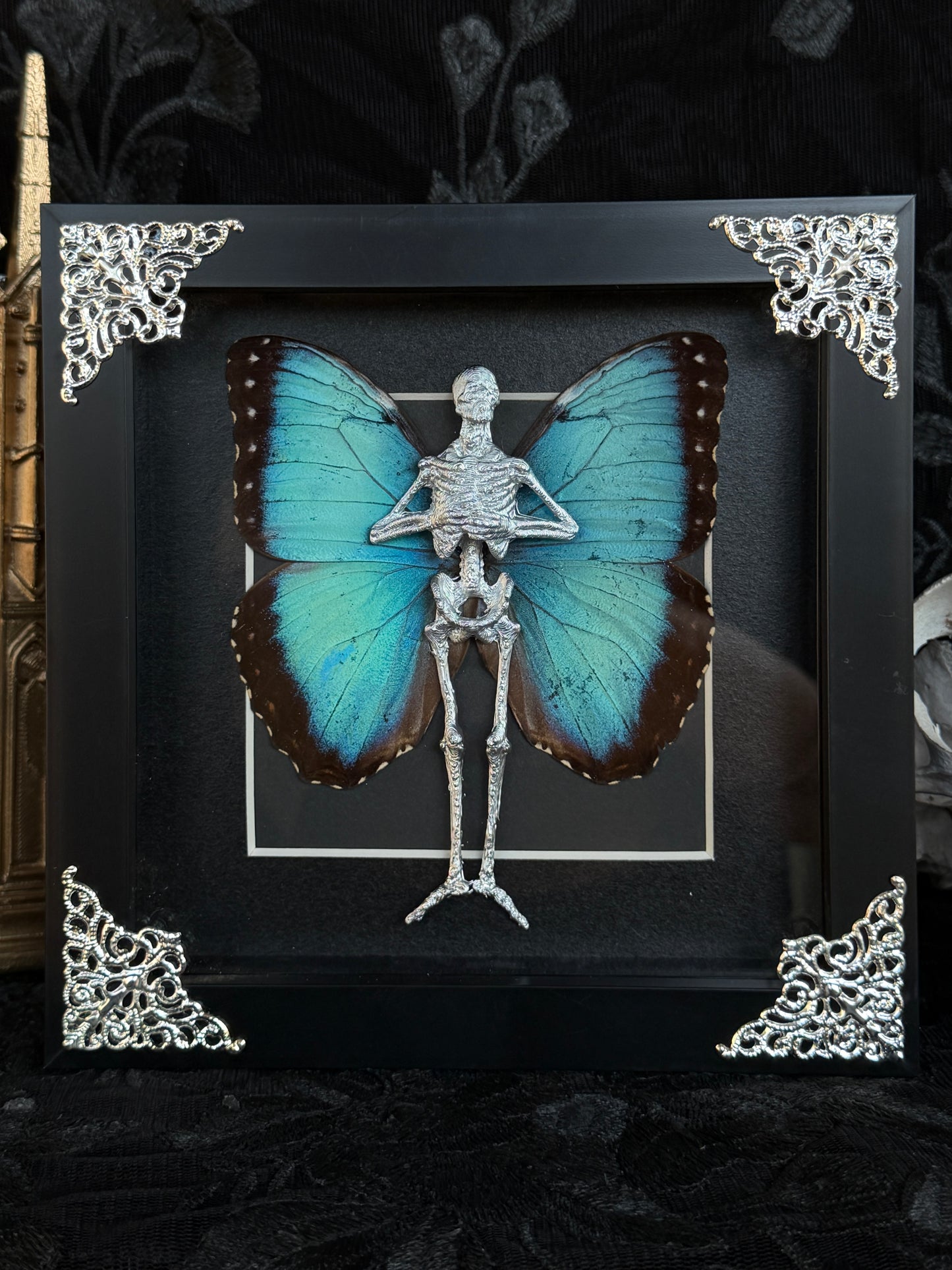 MORPHO FAIRY - Mother of Hades Dead Fairy Frame