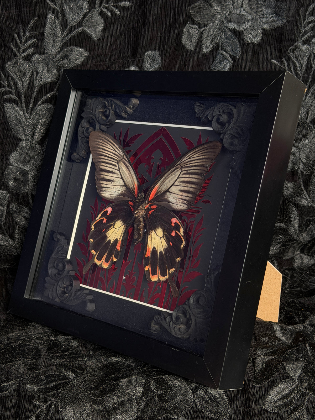 THE GREAT MORMON - Red Mother of Hades Butterfly Frame