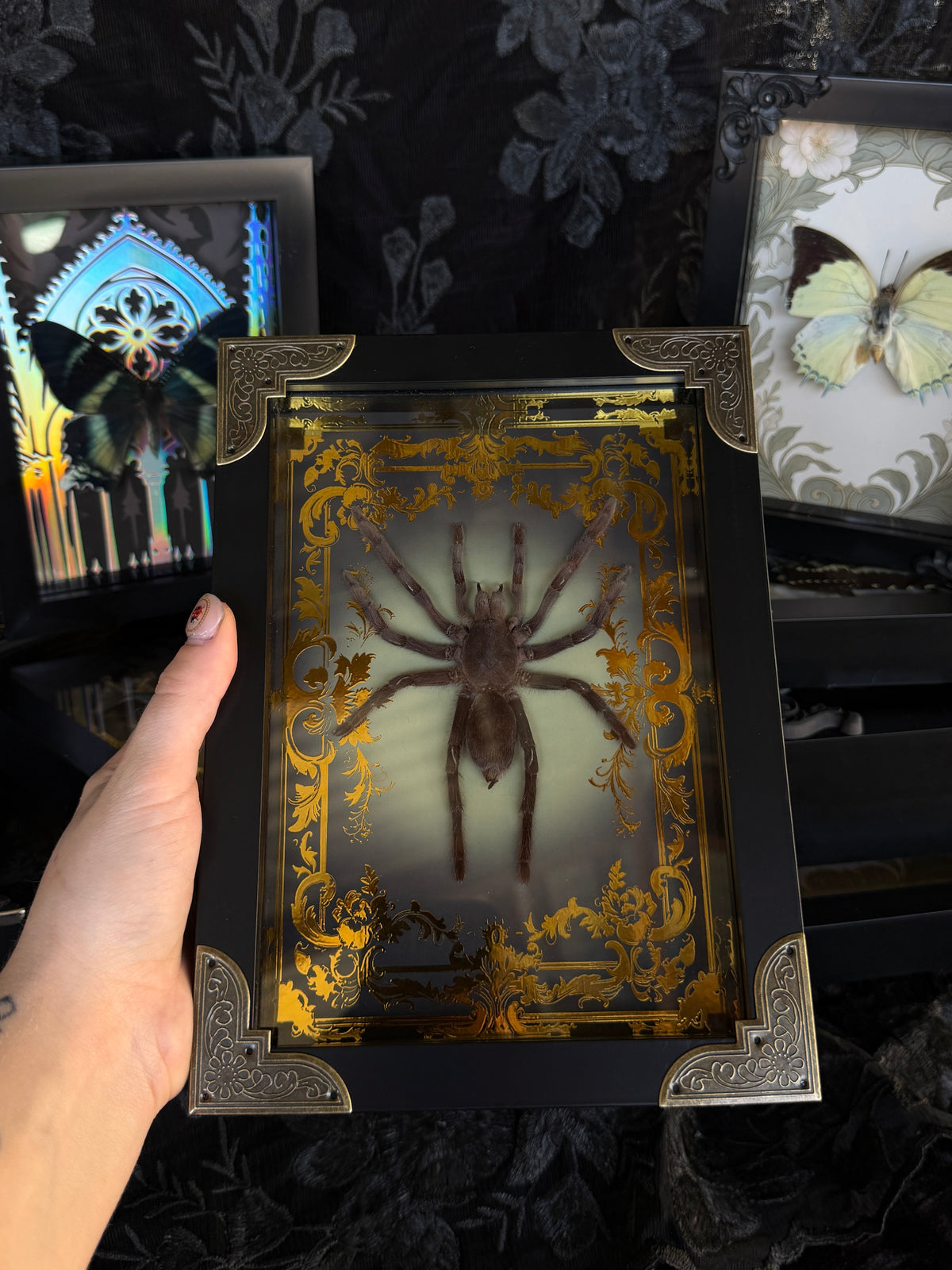 Mother of hades STACK ATTACK - 1 ticket to play!