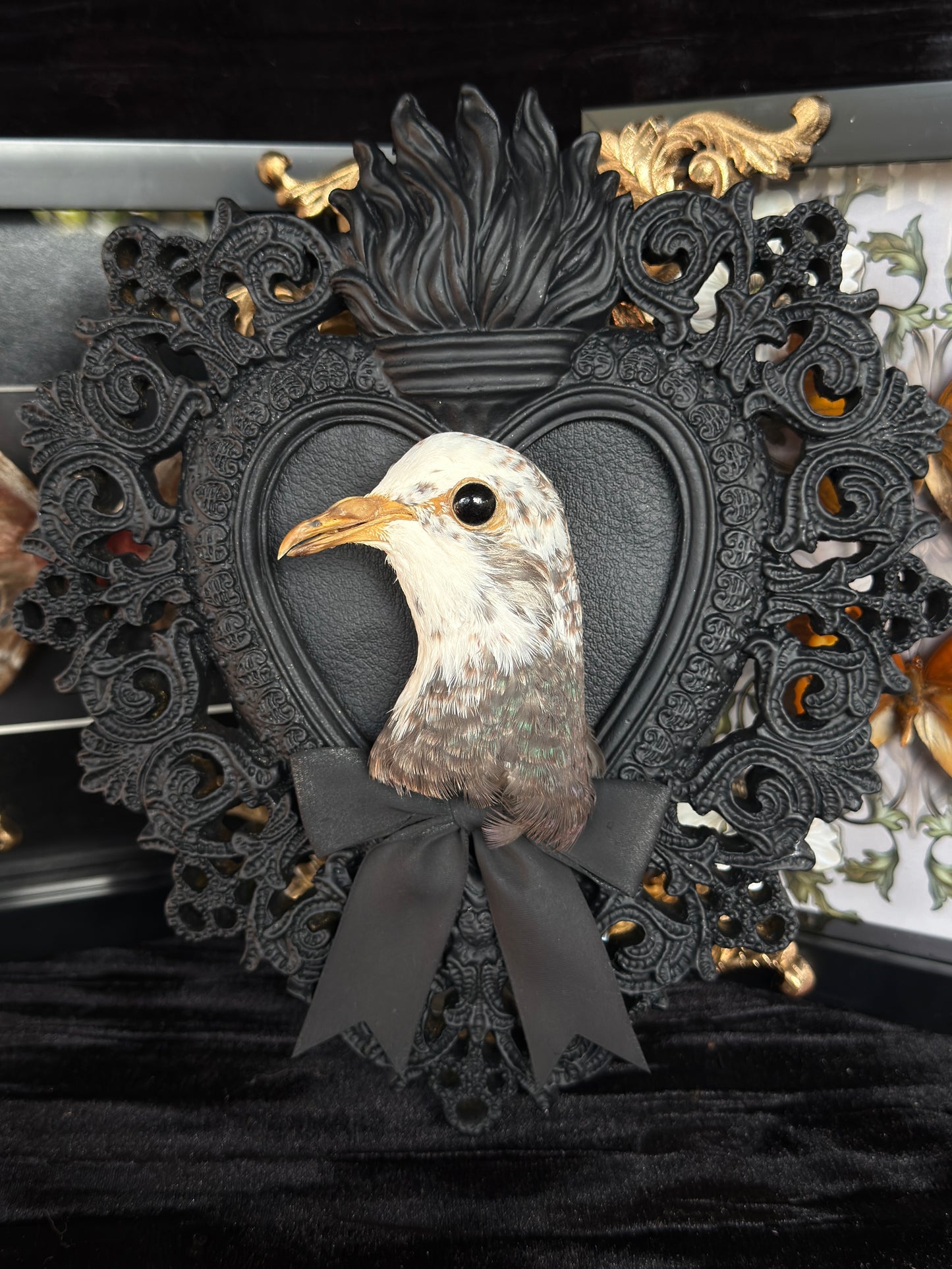 PIGEON HEAD - Mother of Hades Black Heart Open Display Frame