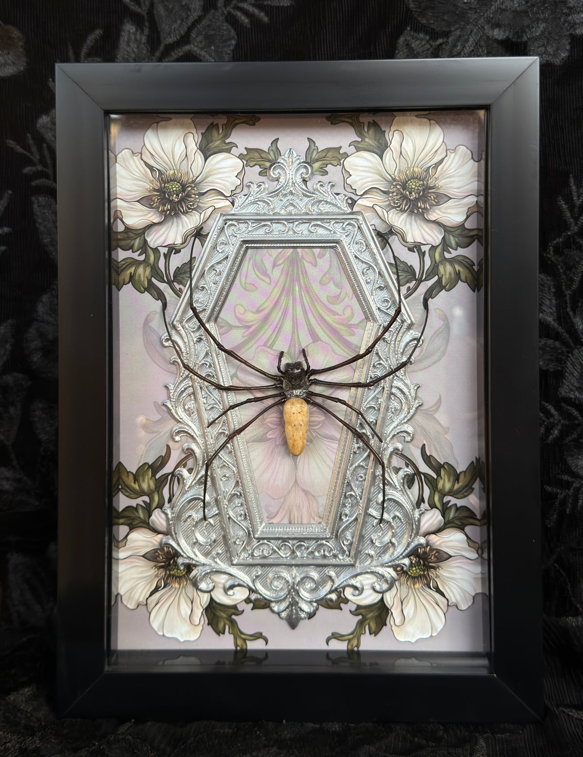 Sage Silver Orb Weaver Spider - Mother of Hades Frame
