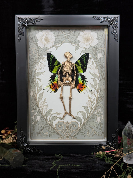 IRIS FAIRY - Mother of Hades Dead Fairy Frame