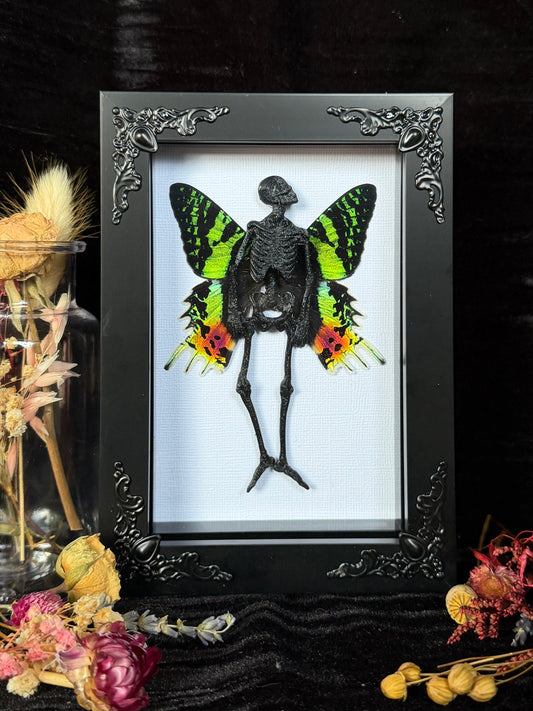 SUNSET MOTH FAIRY - Mother of Hades Dead Fairy Collection