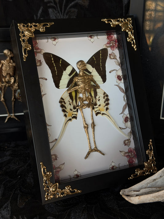 MERRY FAIRY - Mother of Hades Dead Fairy Frame