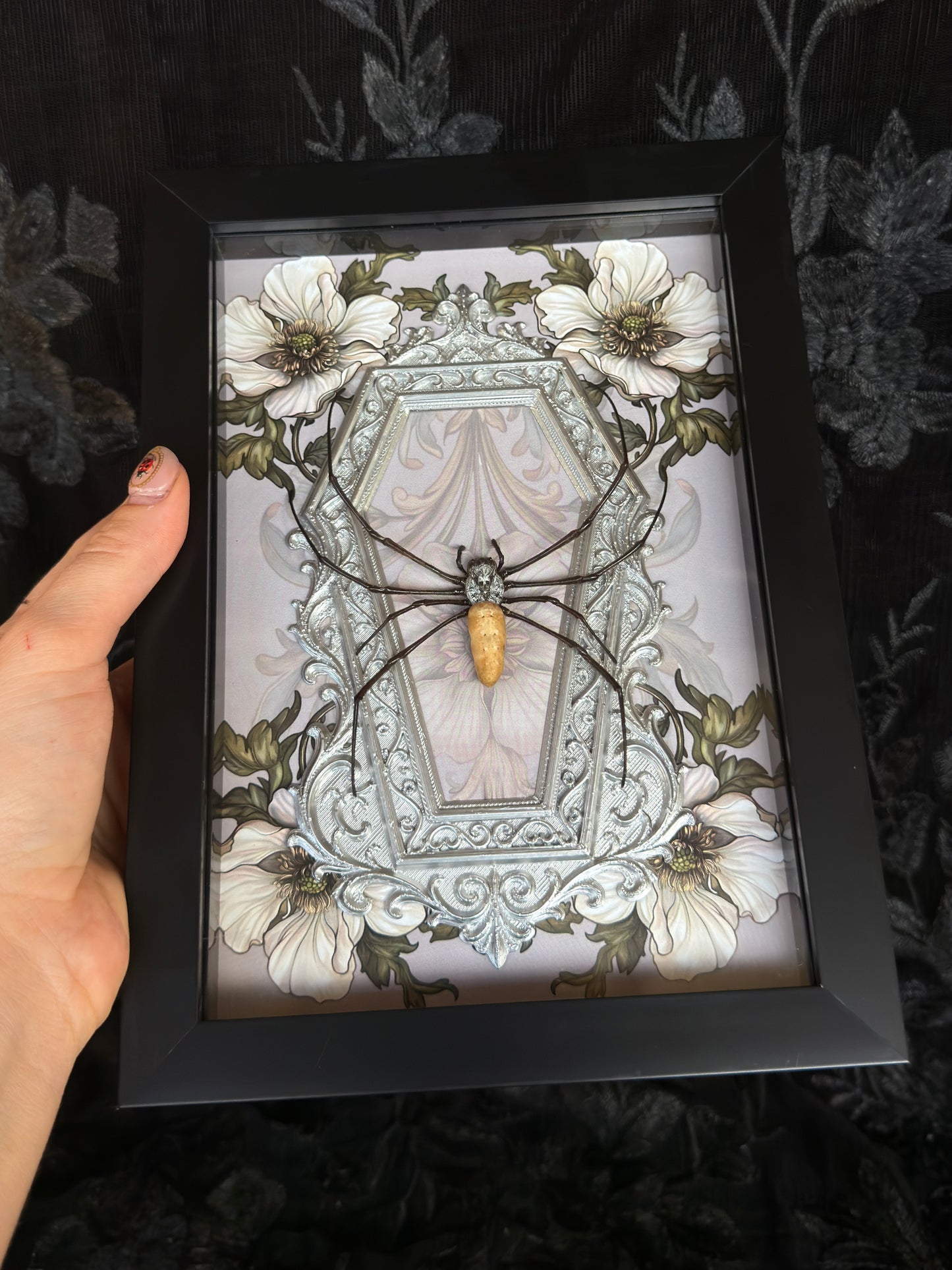 Sage Silver Orb Weaver Spider - Mother of Hades Frame