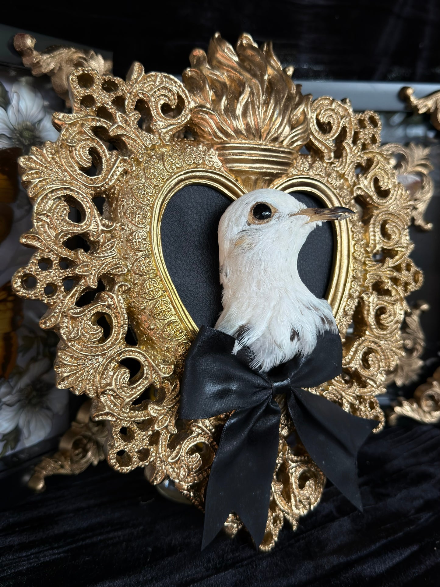 PIGEON HEAD - Mother of Hades Gold Heart Open Display Frame