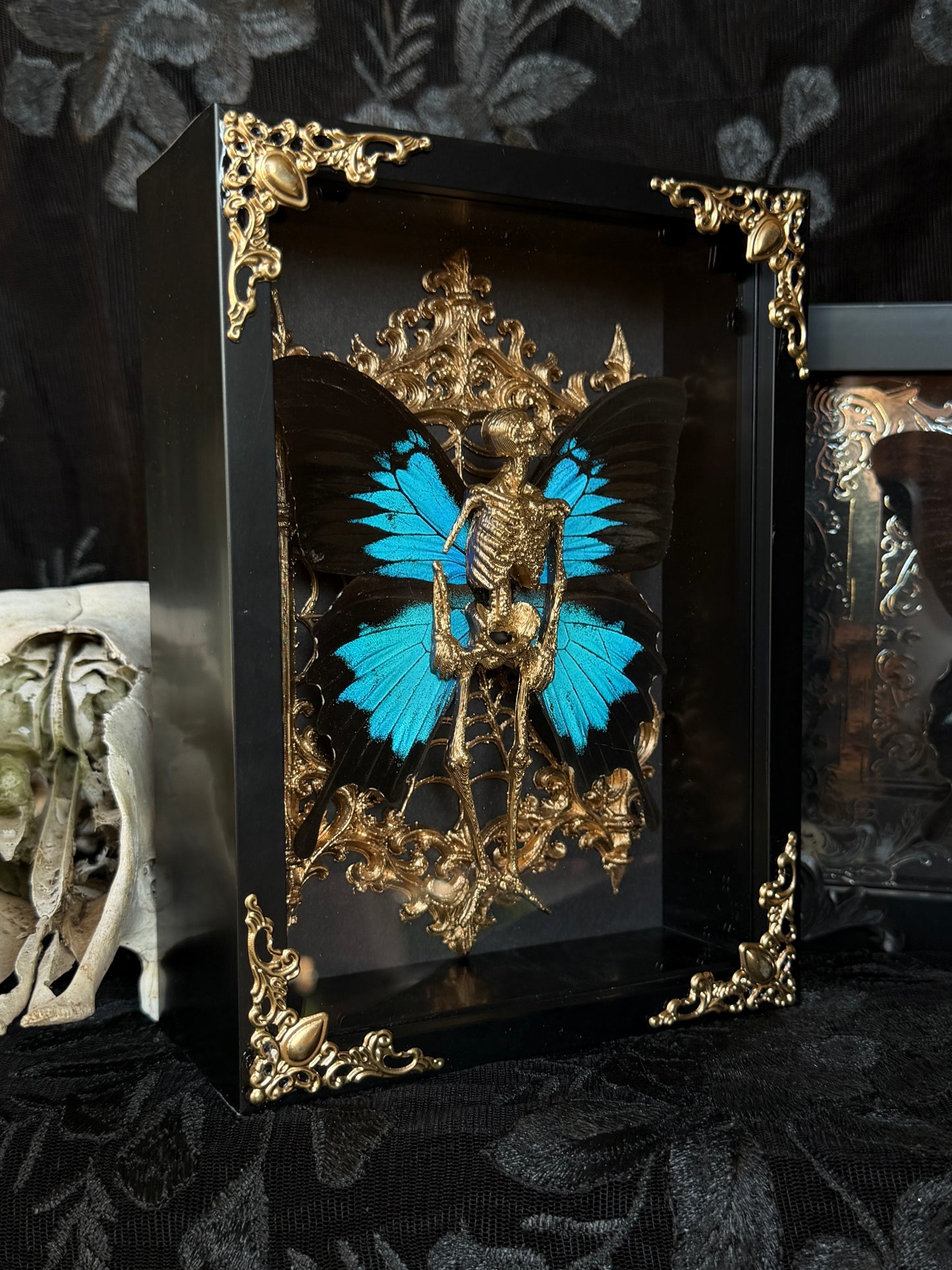 GOLDILOCKS - Mother of Hades Dead Fairy Frame