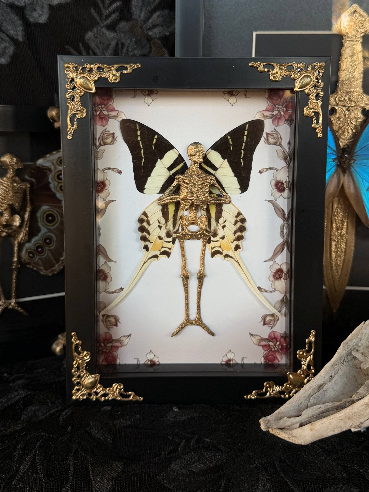 MERRY FAIRY - Mother of Hades Dead Fairy Frame