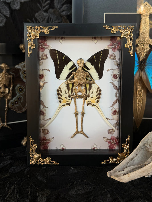 MERRY FAIRY - Mother of Hades Dead Fairy Frame