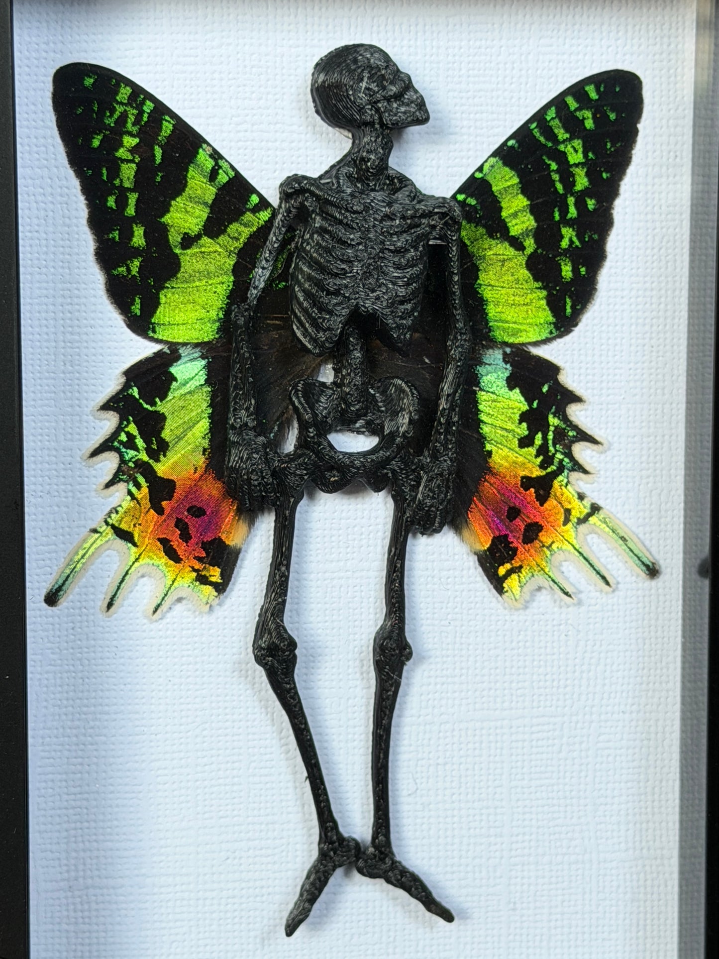 SUNSET MOTH FAIRY - Mother of Hades Dead Fairy Collection