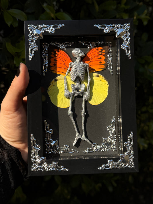 APRICITY FAIRY - Mother of Hades Dead Fairy Frame
