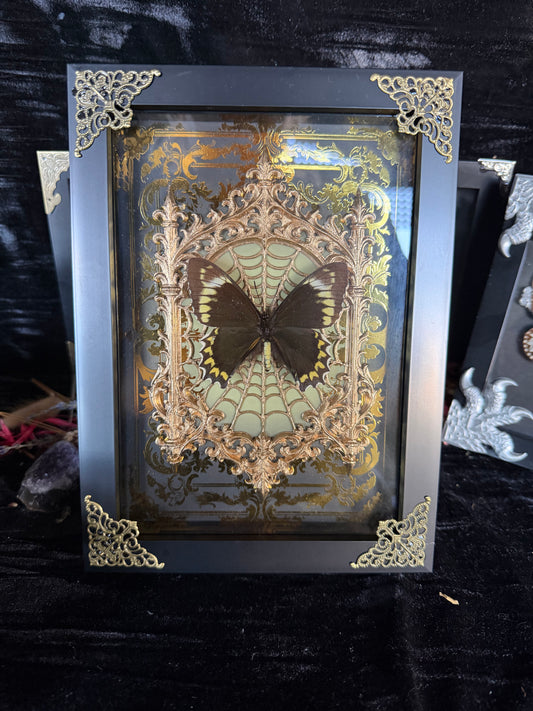 VINTAGE MISS OCTOBER  - gold a5 specimen frame