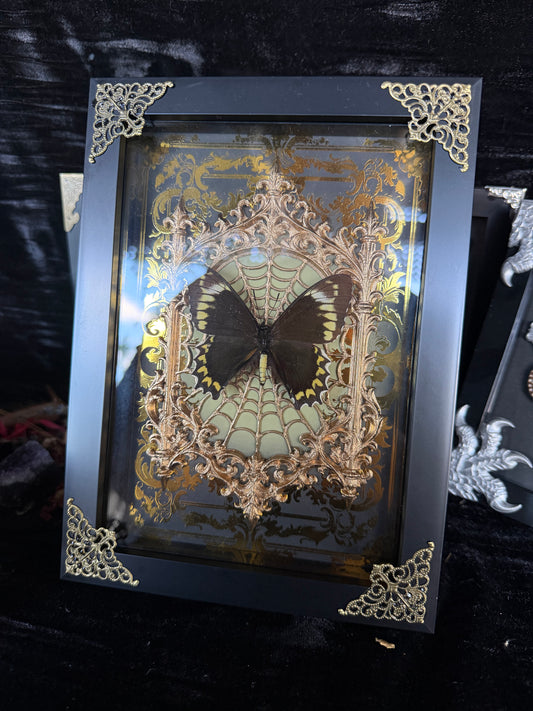 VINTAGE MISS OCTOBER  - gold a5 specimen frame