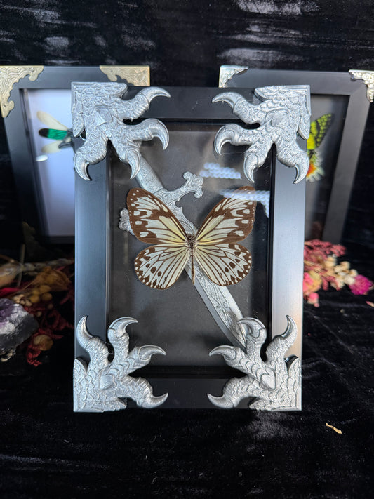 CLAW AND DAGGER - silver specimen frame