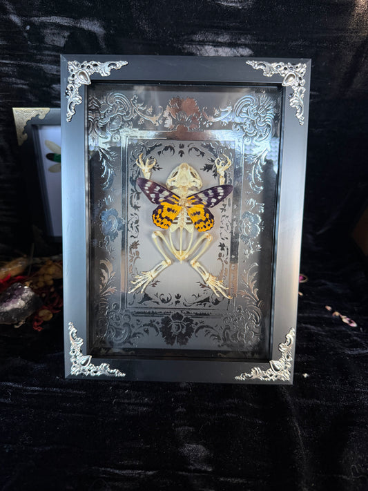 SILVER SUNSET TOAD FAIRY - silver a5 specimen frame