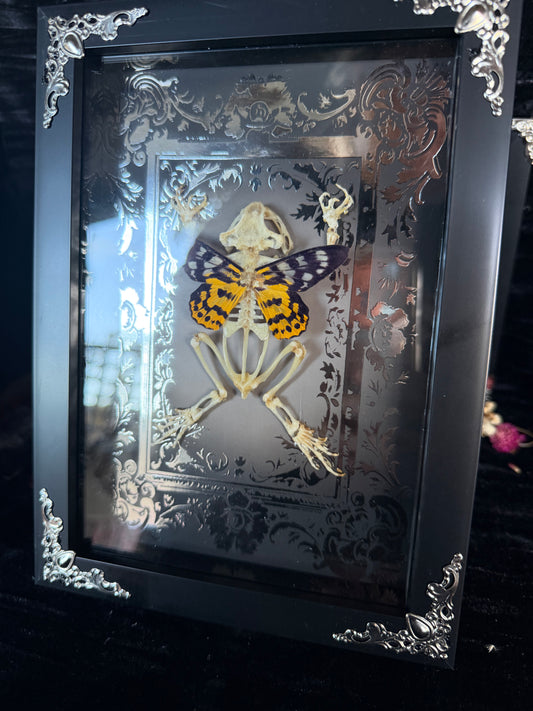 SILVER SUNSET TOAD FAIRY - silver a5 specimen frame