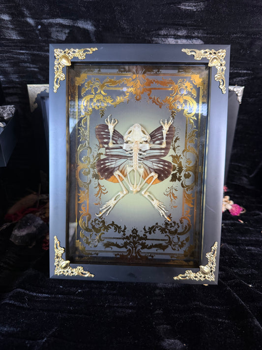 AUTUMN TOAD FAIRY - gold a5 specimen frame