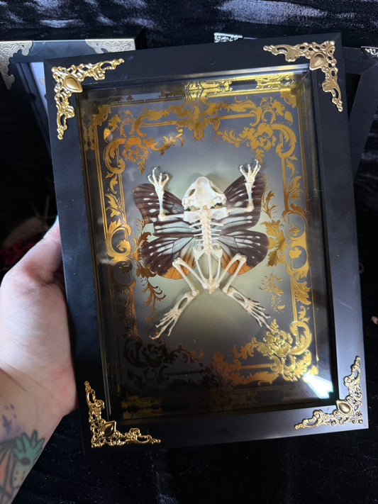 AUTUMN TOAD FAIRY - gold a5 specimen frame