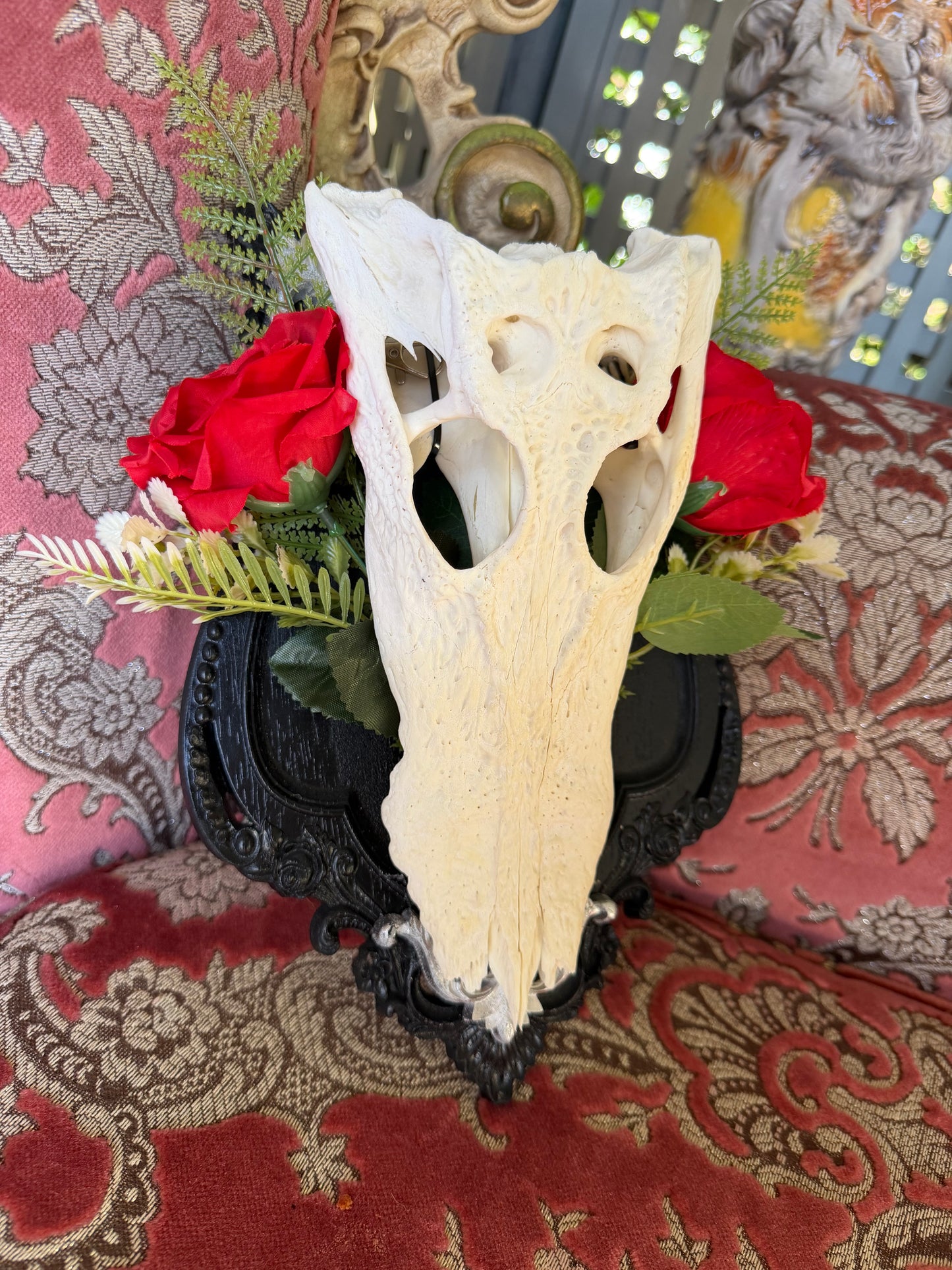 SILVER FERN ROSA - crocodile skull curio with permit